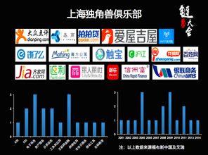 上海互联网数据服务 错失的过去与把握的现在